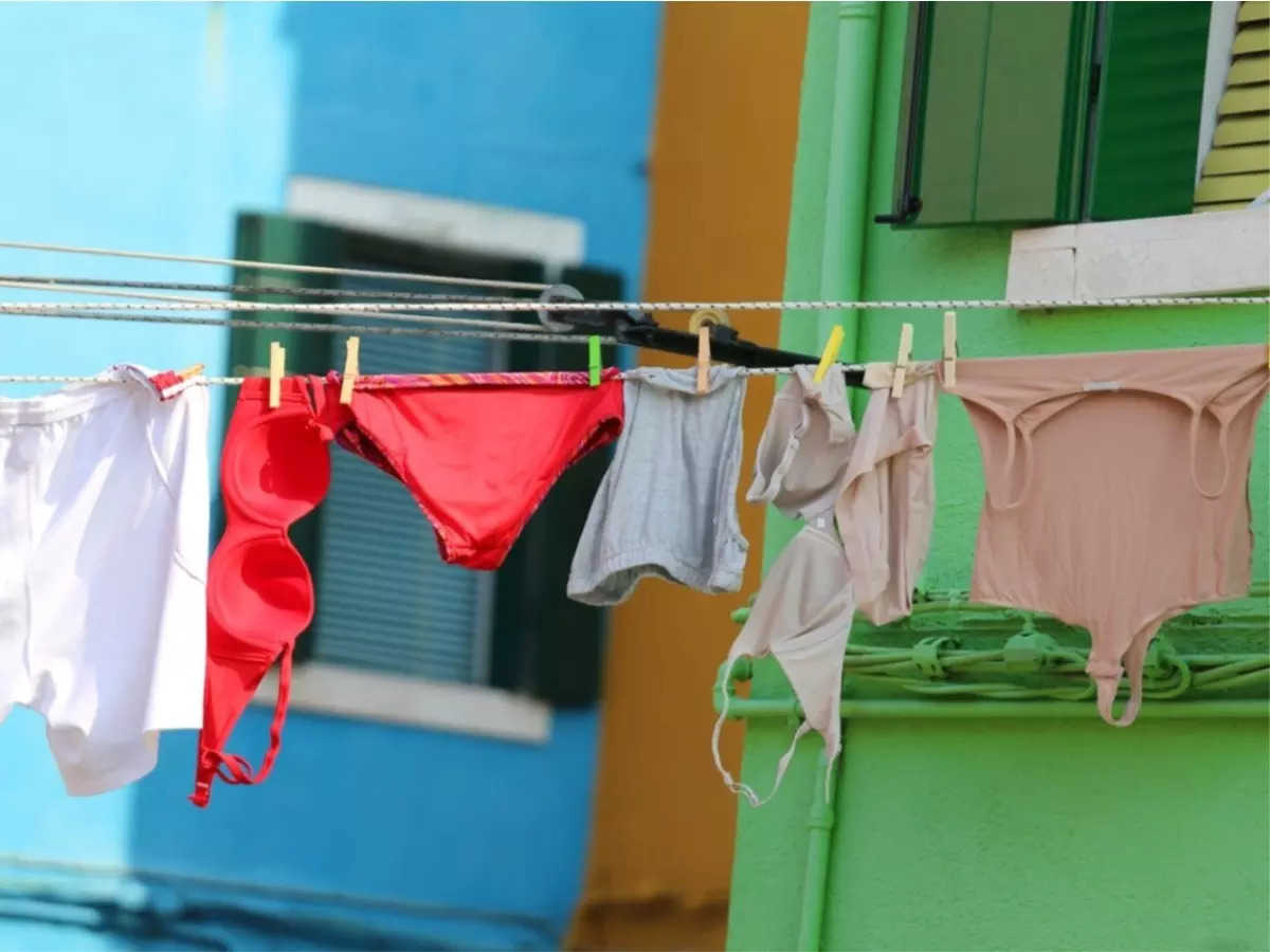 8 महीने से पड़ोसी ही कर रहा था महिला के अंडरगारमेंट की चोरी, पकड़ा गया तो…-Neighbor was stealing woman's undergarment for 8 months, when caught...