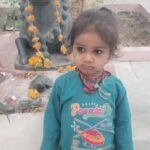 मंदसौर में आवारा कुत्तों का आतंक, 3 साल के बच्चे को नोंच-नोंच कर उतारा मौत के घाट