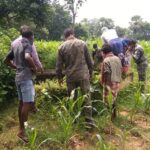 खरगोन में महिला ने पहले 3 मासूमों को कुएं में फेंका, फिर खुद भी कूदी…. तीनों बच्चों की मौत