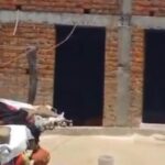 मां ने तीन बेटियों को पिलाया जहर, फिर खुद भी खाया