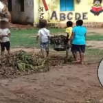 सरकारी स्कूल में झाड़ियां साफ कर रहे बच्चे, सुरक्षा पर उठे सवाल