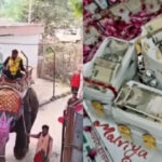 हाथी पर सवार होकर पहुंचे बिजली विभाग के इंजीनियर, सरकारी दफ्तर में नोटों की गड्डियों वाला काटा केक